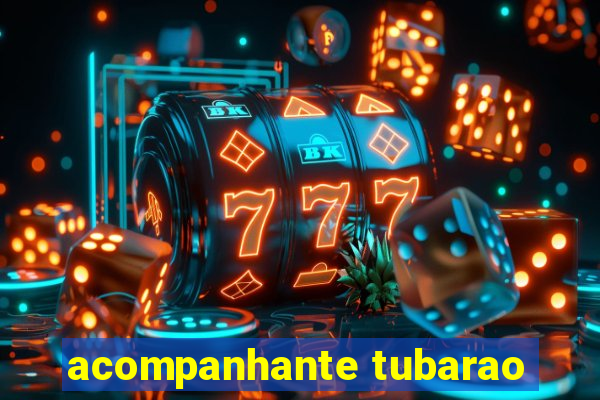 acompanhante tubarao